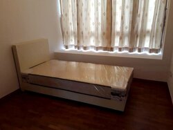 Carabelle (D5), Condominium #456896501
